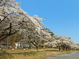 貸切露天 部屋休憩の日帰りプラン登場 公式hp 伊香保温泉 晴観荘 眺望の温泉旅館 ベストレート